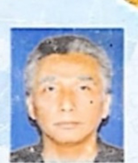 DR. ELFI M.ENG , M.SC